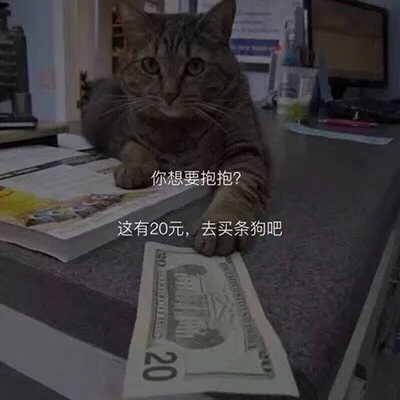 你想要抱抱？这有20元，去买条狗吧