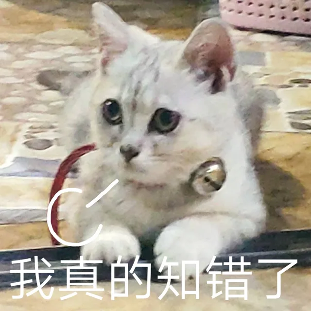 我真的知错了