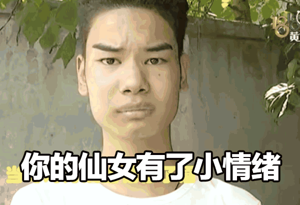 你的仙女有了小情绪（你的仙女有了小情绪）