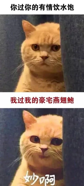 你过你的有情饮水饱，我过我的豪宅燕翅鲍，妙啊（你过你的有情饮水饱，我过我的豪宅燕翅鲍，妙啊）