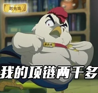 我的项链两千多