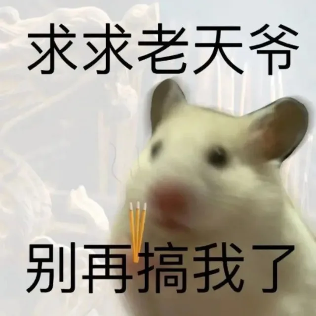 求求老天爷别再搞我了（求求老天爷别再搞我了）