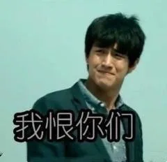 我恨你们