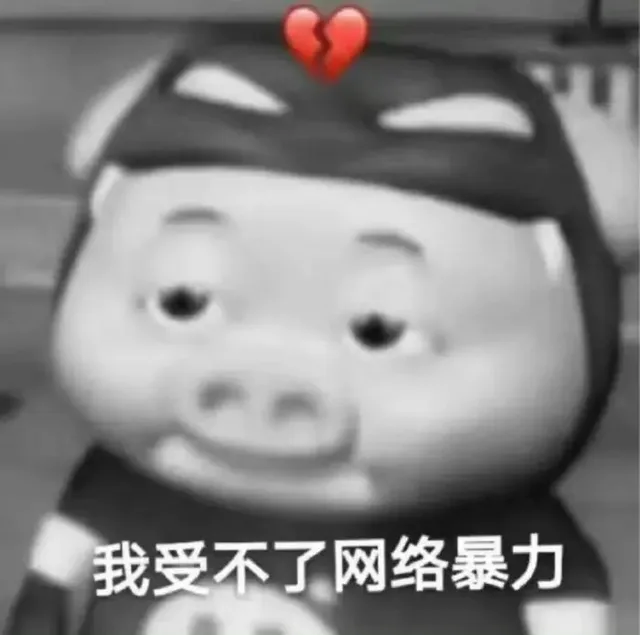 我受不了网络暴力（我受不了网络暴力）