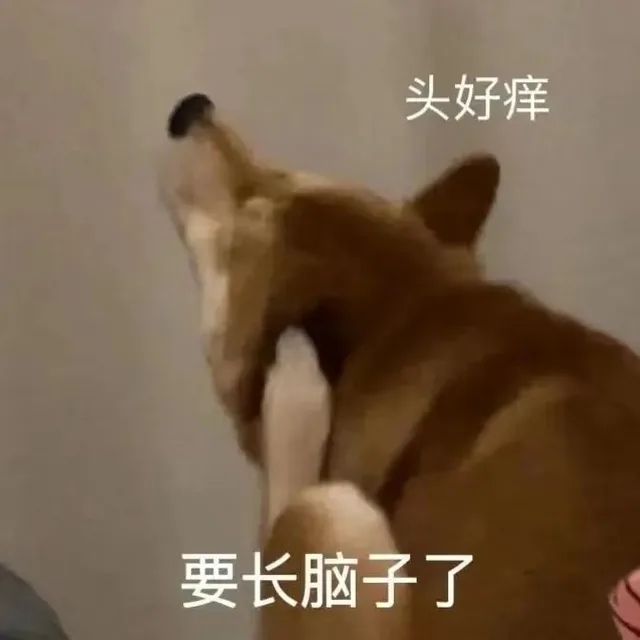 头好痒要长脑子了（头好痒要长脑子了）