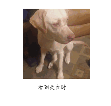 这不就是你的女朋友吗，太形象啦_动图_撩妹撩汉_内涵表情包
