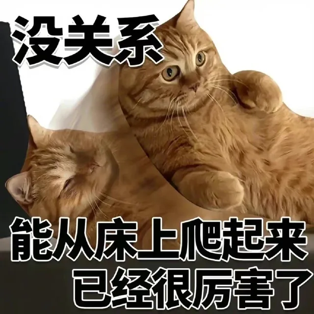 没关系能从床上爬起来已经很厉害了（没关系能从床上爬起来已经很厉害了）