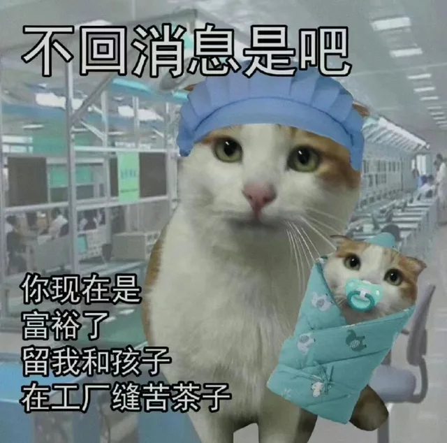 不回消息是吧你现在是富裕了留我和孩子在工厂缝苦茶子（不回消息是吧你现在是富裕了留我和孩子在工厂缝苦茶子）