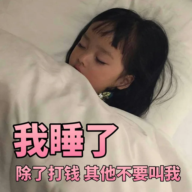 睡了除了打钱其他不要叫我