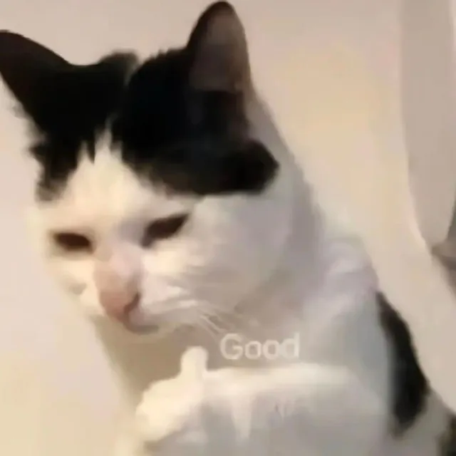 Good (good)（Good (good)）