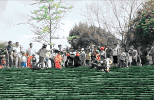 熊本熊滑草翻车动图（熊本熊滑草翻车动图）
