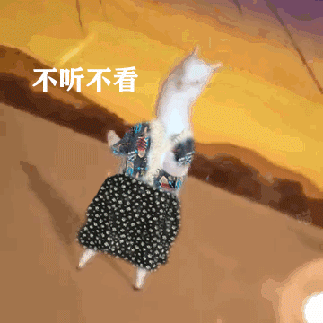 不听不看 不 follow（羊驼跳舞表情包）