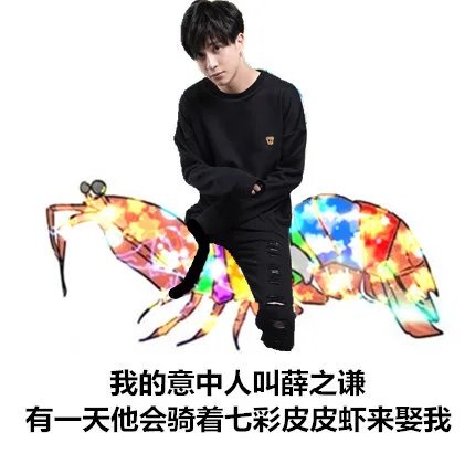 我的意中人叫薛之谦，有一天他会骑着七彩皮皮虾来娶我