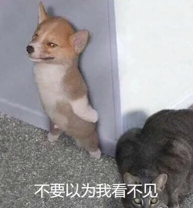 高中老师语录_汪星人_喵星人_搞笑表情包