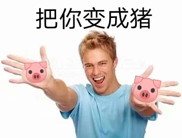 把你变成猪（把你变成猪）
