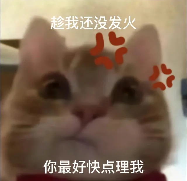趁我还没发火你最好快点理我（趁我还没发火你最好快点理我）