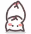 猫咪倒立 GIF（猫咪倒立 GIF）