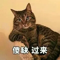 傻缺 过来