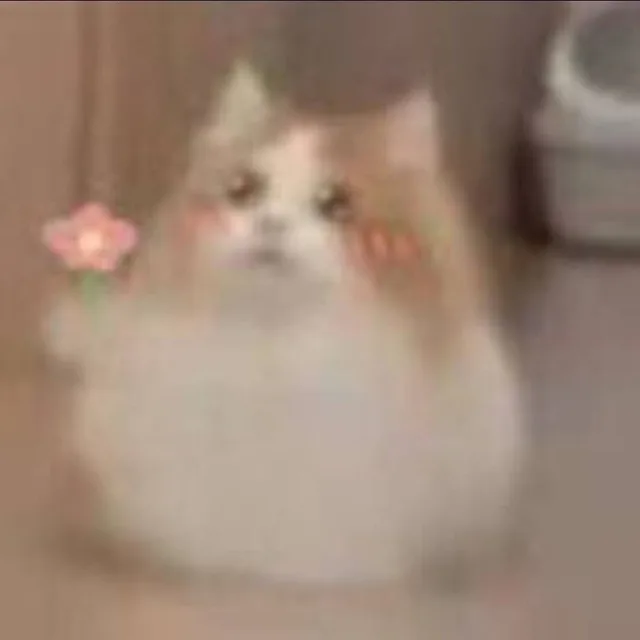 （猫咪猫猫）
