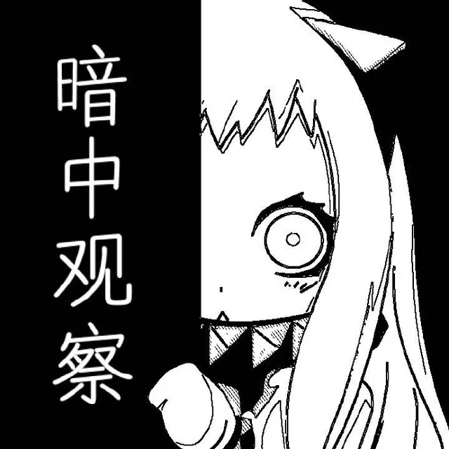 暗中观察