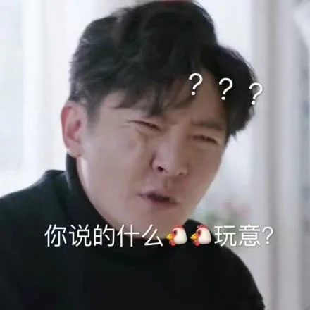 你说什么几把玩意？？（你说什么几把玩意？？）