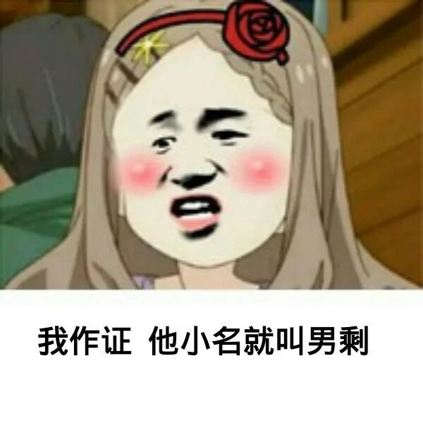 我作证 他小名就叫男剩（我作证 他小名就叫男剩）
