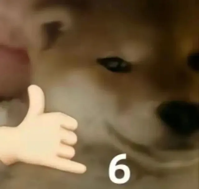 6（6）