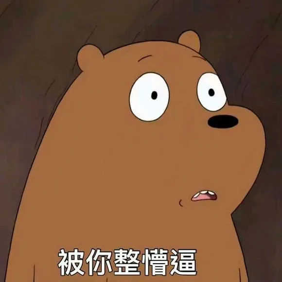 (被你整懵逼