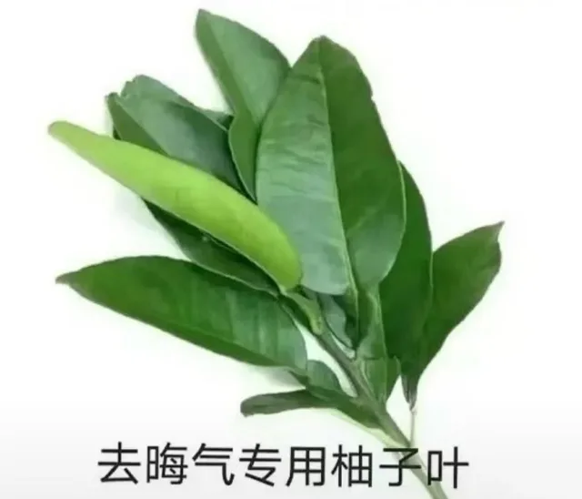 去晦气专用柚子叶（去晦气专用柚子叶）