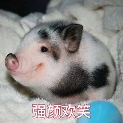 强颜欢笑