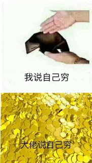 我说自己穷 大佬说自己穷