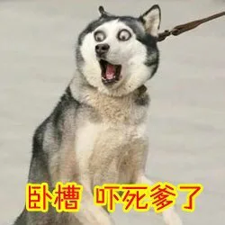 卧槽，吓死爹了