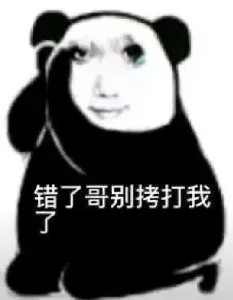 错了哥别拷打我了（错了哥别拷打我了）
