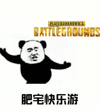 AYER UNKNOWNPSBAITLEONOUND肥宅快乐游