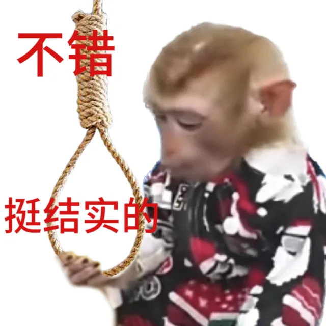 不错挺结实的（不错挺结实的）