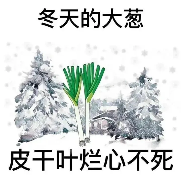 冬天的大葱皮干叶烂心不死（冬天的大葱皮干叶烂心不死）