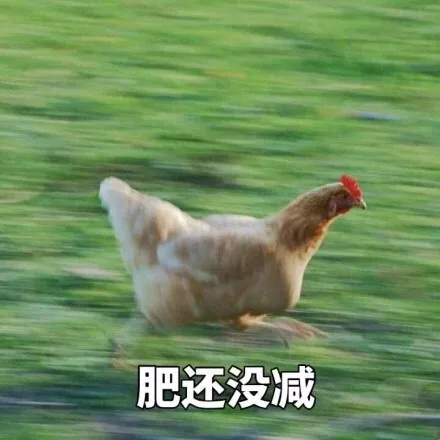 肥还没减（肥还没减）