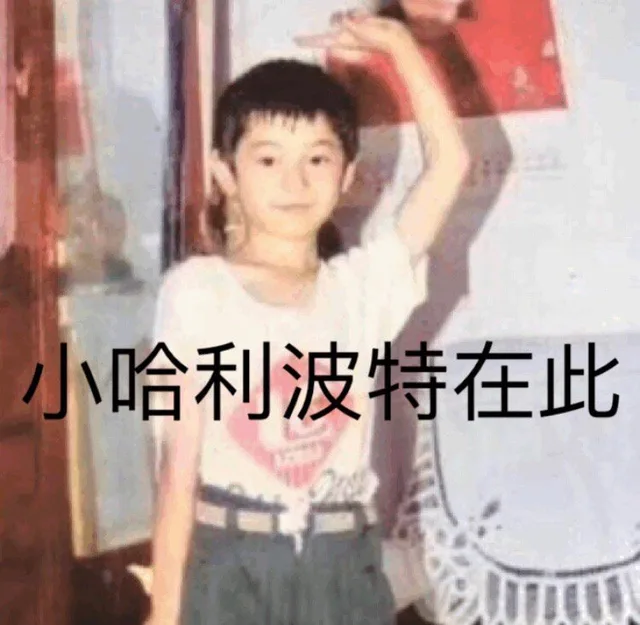 小哈利波特在此（黄晓明表情包）（小哈利波特在此（黄晓明表情包））