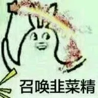 召唤韭菜菜精