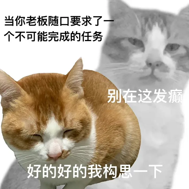 双面猫表情包