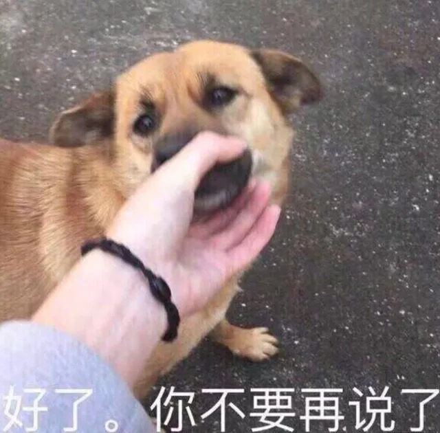 好了。你不要再说了（好了。你不要再说了）
