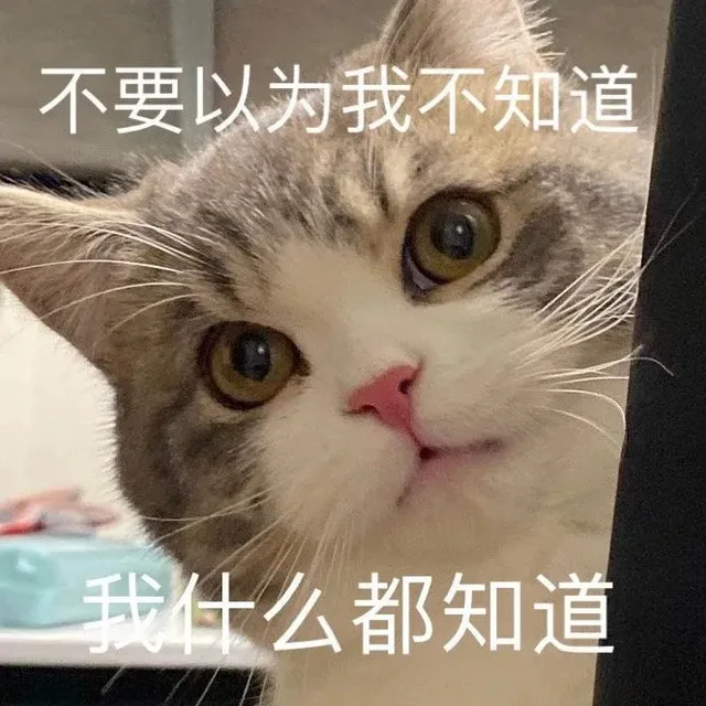 不要以为我不知道我什么都知道
