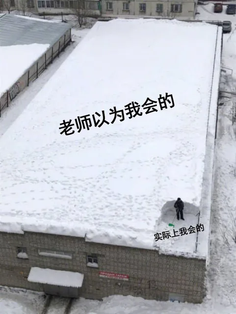老师以为我会的 vs 实际上我会的（雪地）
