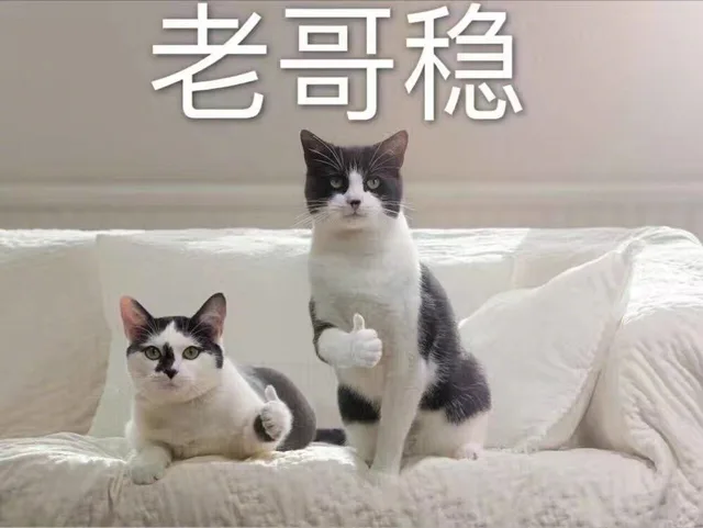 老哥稳（老哥稳）