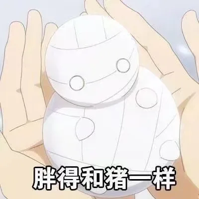 胖得和猪一样（胖得和猪一样）