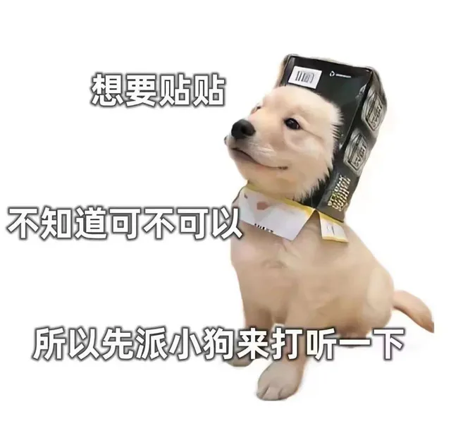 想要贴贴不知道可不可以所以先派小狗来打听一下（想要贴贴不知道可不可以所以先派小狗来打听一下）