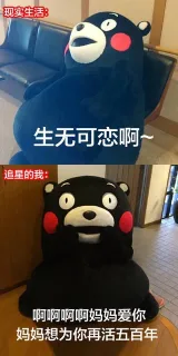 现实的我 VS 追星的我_熊本熊_内涵表情包