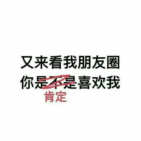 又来看我朋友圈，你肯定喜欢我（又来看我朋友圈，你肯定喜欢我）