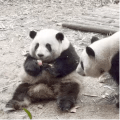 婉拒了哈（婉拒了哈）