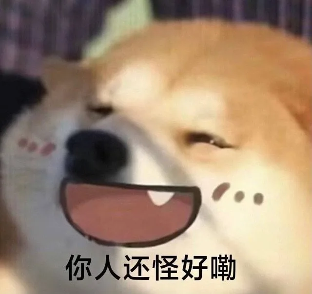 你人还怪好嘞（你人还怪好嘞）